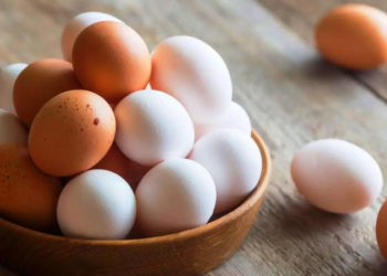 Türkiye'den Singapur'a yumurta ihracatı başladı