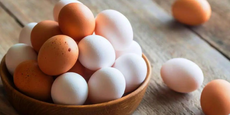 Türkiye'den Singapur'a yumurta ihracatı başladı