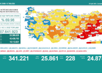 Virüs durdurulamıyor; 24 saatte 228 can kaybı, vaka sayısı 25 bini aştı
