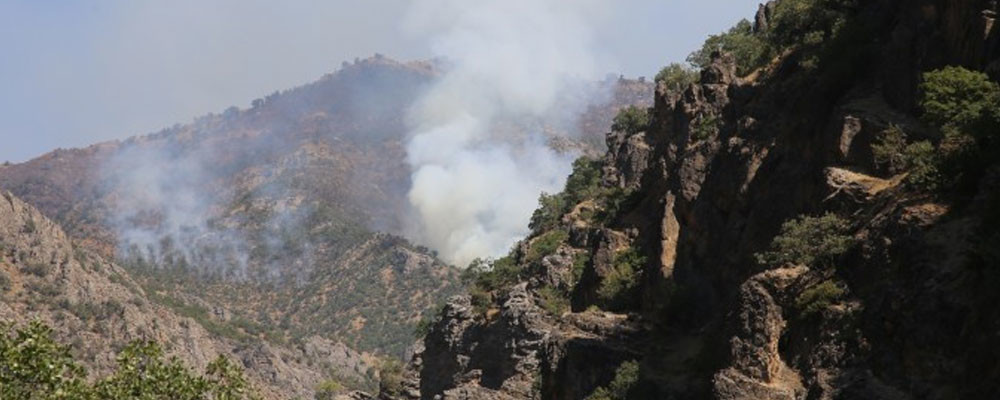 Yangına müdahale edenler: Dersim yanmıyor, yakılıyor