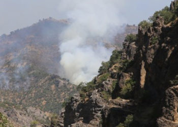 Yangına müdahale edenler: Dersim yanmıyor, yakılıyor