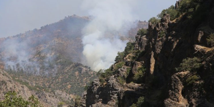 Yangına müdahale edenler: Dersim yanmıyor, yakılıyor
