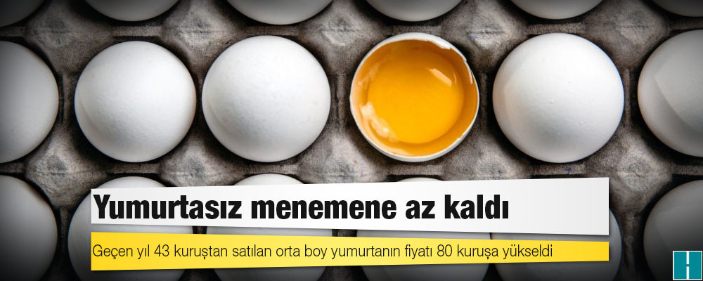 Yumurtasız menemene az kaldı