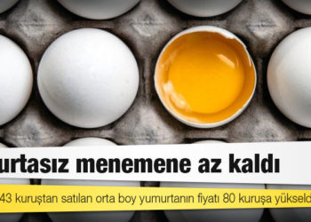 Yumurtasız menemene az kaldı