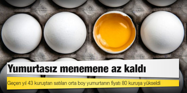 Yumurtasız menemene az kaldı