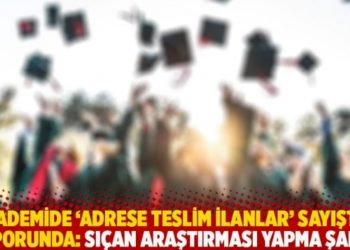 &Uuml;niversitelerde 'Adrese teslim ilanlar' Sayıştay raporunda: Sı&ccedil;an araştırması yapma şartı!