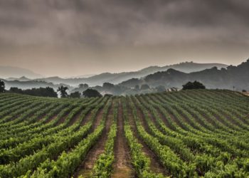 İklim sözlüğü: Krizi ve çözüm önerilerini anlamak için bilmeniz gereken 15 kavram