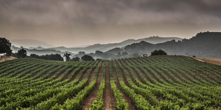 İklim sözlüğü: Krizi ve çözüm önerilerini anlamak için bilmeniz gereken 15 kavram