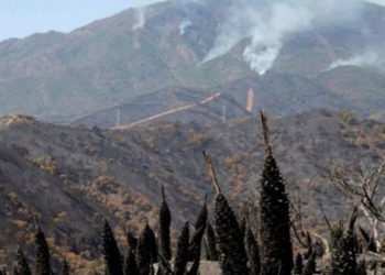 İspanya’da yangınlar: 2 bin kişi evini terk etmek zorunda kaldı