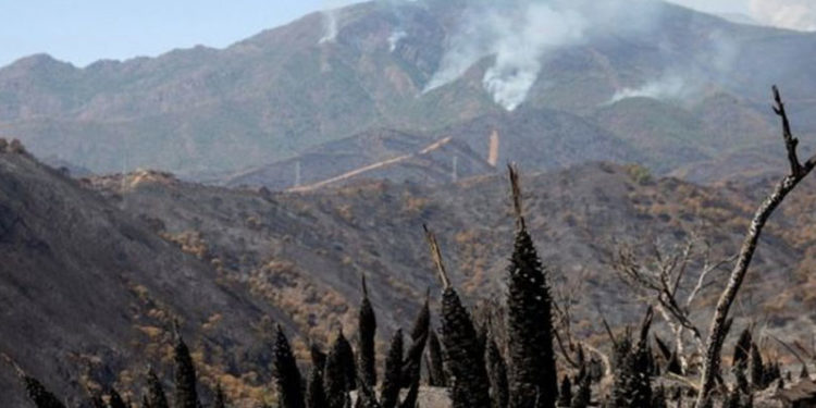 İspanya’da yangınlar: 2 bin kişi evini terk etmek zorunda kaldı
