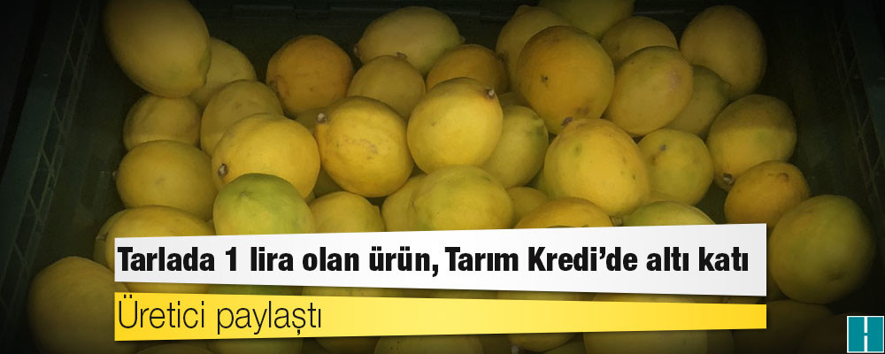 Üretici paylaştı: Tarlada 1 lira olan ürün, Tarım Kredi’de altı katı