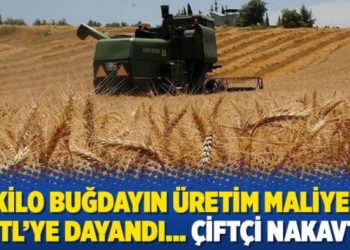 1 kilo buğdayın &uuml;retim maliyeti 5 TL&rsquo;ye dayandı&hellip; &Ccedil;ift&ccedil;i nakavt!
