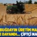 1 kilo buğdayın üretim maliyeti 5 TL’ye dayandı… Çiftçi nakavt!