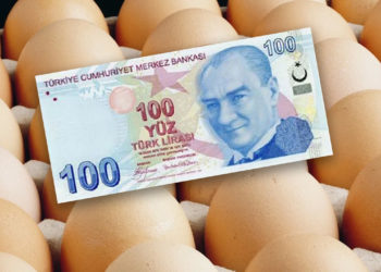 100 TL ile 12 yıl önce 440 yumurta alınabiliyordu, bugün 97 yumurta ediyor