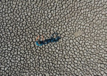 Türkiye’de kuralık gıda güvenliğini tehlikeye atıyor