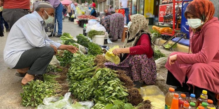 Türk-İş: Açlık sınırı 3 bin 49 TL, yoksulluk sınırı 9 bin 931 TL