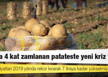 6 ayda 4 kat zamlanan patateste yeni kriz yolda