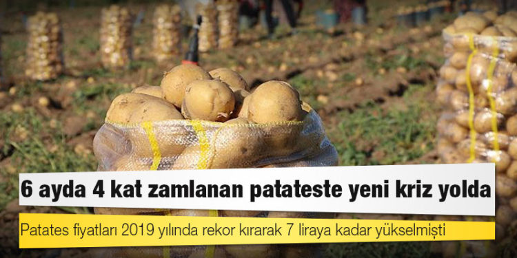 6 ayda 4 kat zamlanan patateste yeni kriz yolda