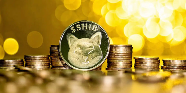 8 bin doları, 14 ay sonunda 5.7 milyar dolara yükseldi!