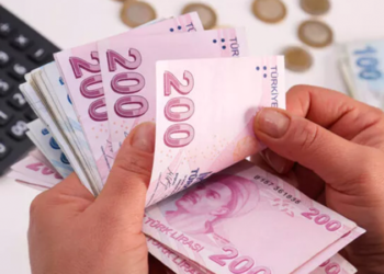 AKP Genel Başkan Yardımcısı Vedat Demiröz: Asgari ücret ve emekli aylıklarını en azından insani bir şekilde yaşama seviyesine getireceğiz