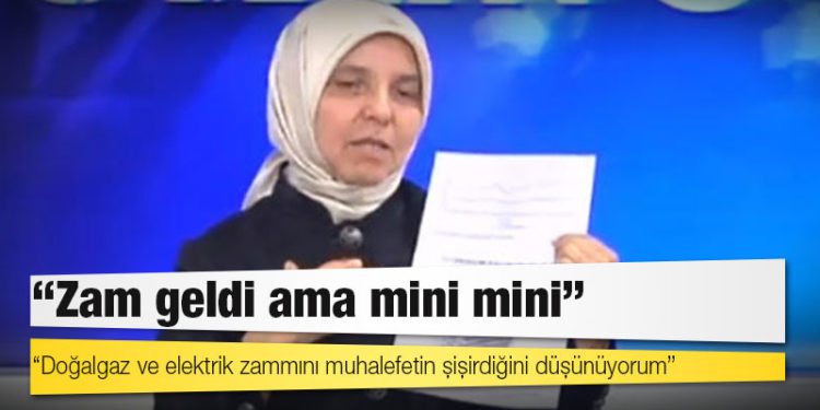 AKP'li Hüsnüye Erdoğan: Zam geldi ama mini mini