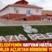AKP'li belediyenin hayvan hastanesinde kediler açlıktan birbirini yedi!
