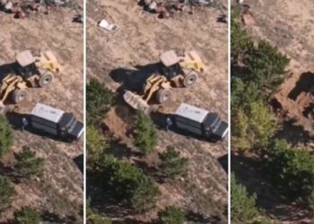 AKP’li Belediye onlarca köpeği diri diri gömdü