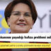 Akşener: Bir cumhurbaşkanının yaşadığı hafıza problemi milli meseledir