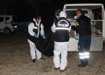 Arka arkaya kadın cinayetleri: ‘Gelinini parçalara ayırarak öldürdü’