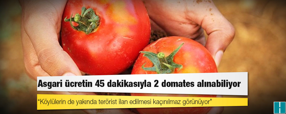 Asgari ücretin 45 dakikasıyla 2 domates alınabiliyor