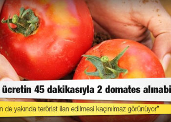 Asgari ücretin 45 dakikasıyla 2 domates alınabiliyor