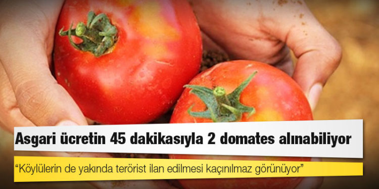 Asgari ücretin 45 dakikasıyla 2 domates alınabiliyor