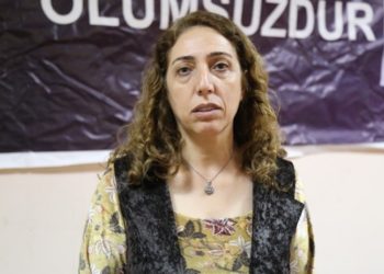 Aydeniz'den muhalefete 'Kürdistan gözaltısı' tepkisi: Sessiz kalmaları Kürtlere bakış açılarıdır