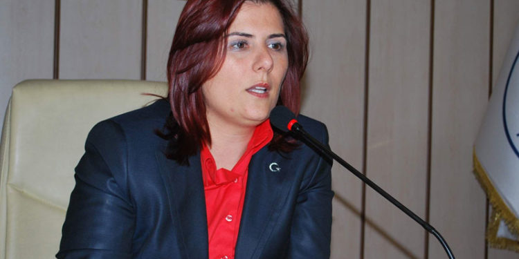 Aydın Büyükşehir Belediyesi de 'Kara Kış Destek Paketi' hayata geçiriyor