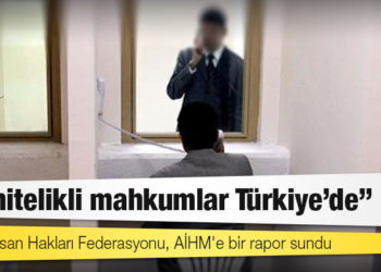 AİHM'e sunulan rapor: En nitelikli mahkumlar Türkiye'de