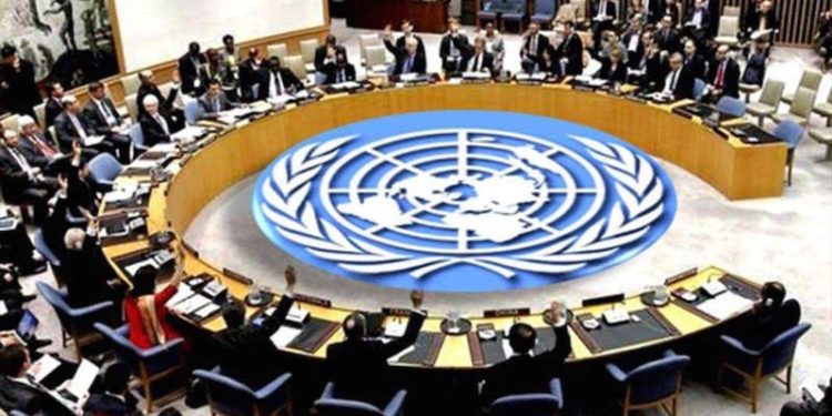 BM Güvenlik Konseyi'nde Türkiye 'Suriye'de işgalci' olarak eleştirildi