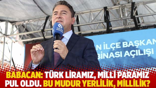 Babacan: Türk liramız, milli paramız pul oldu. Bu mudur yerlilik, millilik?