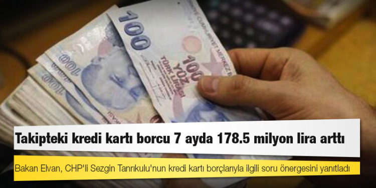 Bakan Elvan açıkladı: Takipteki kredi kartı borcu 7 ayda 178.5 milyon lira arttı