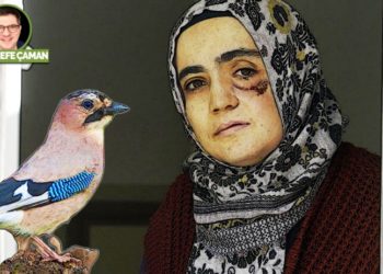 Balkona konan kestane kargası ve Ayşe Özdoğan