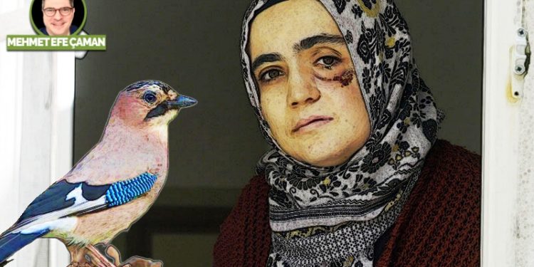 Balkona konan kestane kargası ve Ayşe Özdoğan