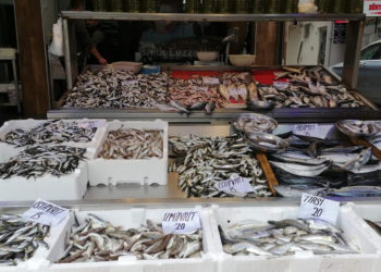 Balıkçılar: Balık sezonu açılalı bir ay oldu ama beklenilen olmadı; fiyatlar şu anda pahalı ama zamanla düşecektir diye umut ediyoruz