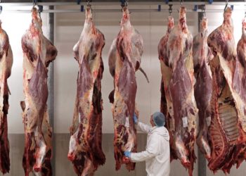 Belçika Anayasa Mahkemesi’nden Müslüman ve Yahudileri kızdıran karar