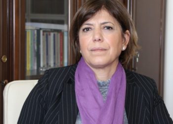 Beştaş: ‘Demokratik ulus’ tanımının olduğu anayasaya ihtiyaç var