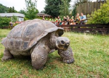 Bir kadın hayvanat bahçesine yaklaşık 7.4 milyon TL miras bıraktı