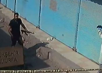 'Birinin gözüne girmek için kendi halinde bir aileyi yok ettiniz'