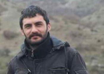 'Birlik’in failleri hangi güçler tarafından korunmaktadır?'