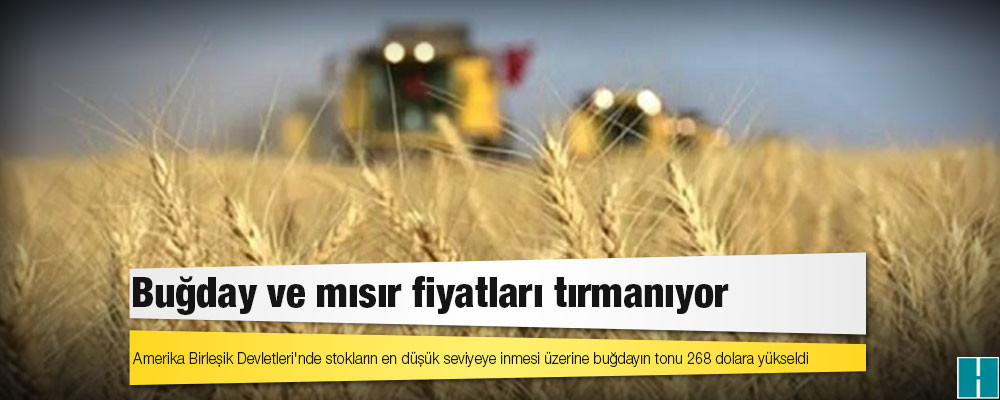 Buğday ve mısır fiyatları tırmanıyor