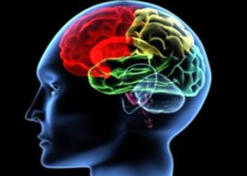 'Covid-19 geçirenlerin beyninde küçülme tespit edildi'