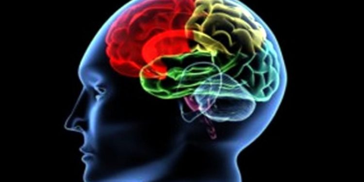 'Covid-19 geçirenlerin beyninde küçülme tespit edildi'