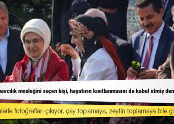 Cumhurbaşkanlığı YİK Üyesi Çiçek'ten yargıçlara: Şimdi kimlerle fotoğrafları çıkıyor, çay toplamaya, zeytin toplamaya bile gidiyorlar